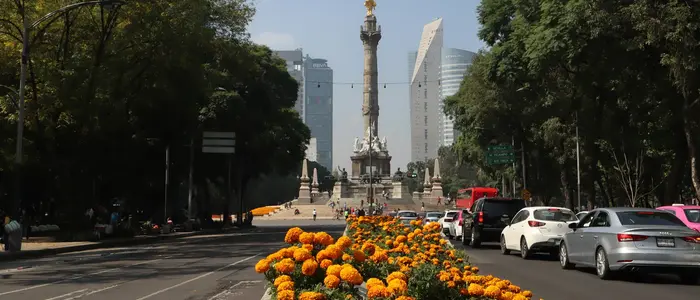 Where to Stay in Mexico City: Best Neighborhoods for the World Cup