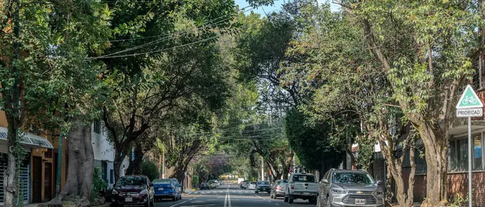 Getting Around Mexico City During the World Cup (Uber, Metro, Tips)