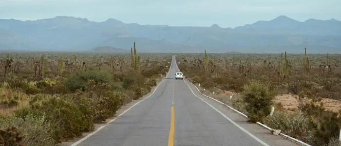 Mexico City ↔ Guadalajara ↔ Monterrey: Multi-City World Cup Itinerary